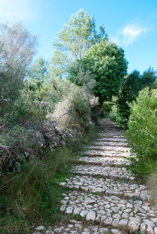 Sentier de randonnée dans la Serra de Tramuntana, Majorque